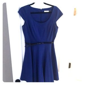 Calvin Klein Blue Swing Dress